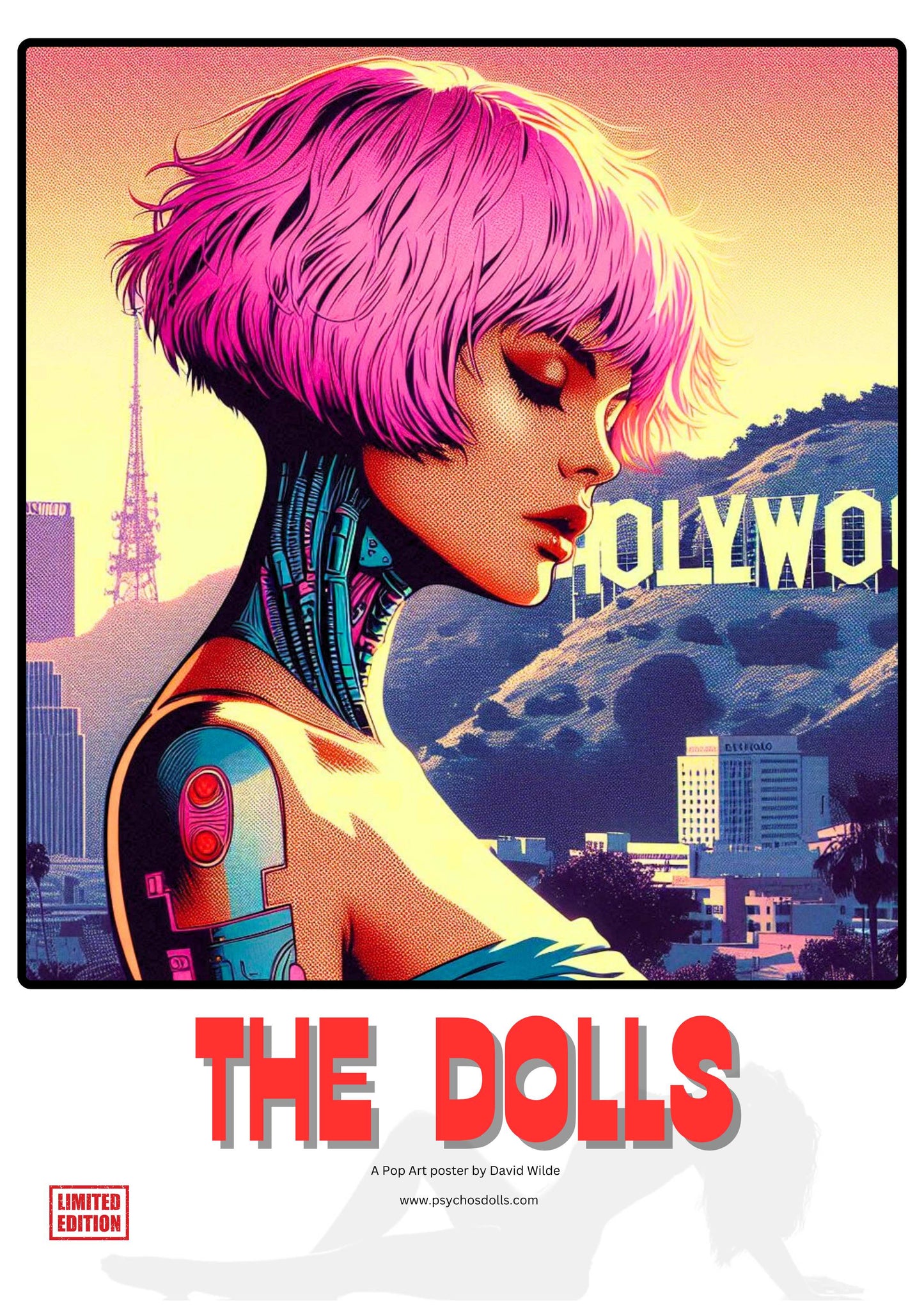 POP ART LIMITED EDITION (1 EDITION)