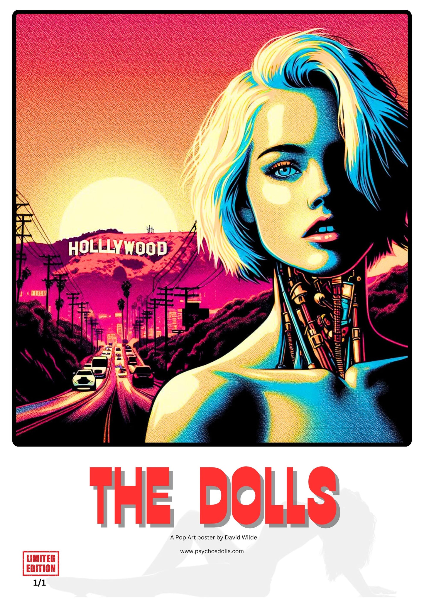 POP ART LIMITED EDITION (1 EDITION)